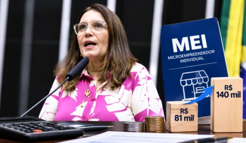 Bia Kicis propõe elevar teto de faturamento do MEI de R$ 81 mil para R$ 140 mil