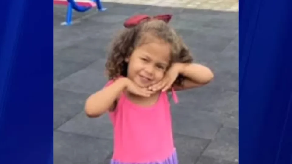 Menina de 5 anos morta em ataque na MG-030 será enterrada nesta quarta