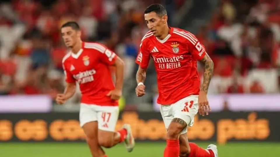 Santa Clara x Benfica: onde assistir ao vivo e escalações