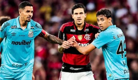 Santos x Flamengo hoje: onde assistir, horário e tudo sobre o duelo pelo Brasileirão