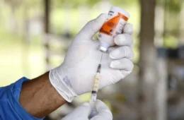 Brasil recebe 14,5 milhões de doses de vacinas contra clostridioses; 67% são importadas