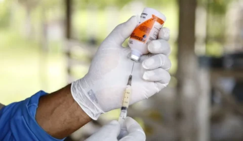 Brasil recebe 14,5 milhões de doses de vacinas contra clostridioses; 67% são importadas