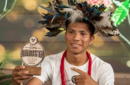 Da floresta ao topo da cafeicultura: concurso em Rondônia revela o potencial do Robusta Amazônico produzido por indígenas