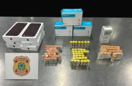 Canetas emagrecedoras, canabidiol celulares importados: homem é preso com carga ilegal no Galeão