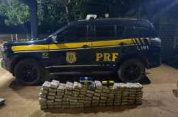 PRF apreende mais de 100 kg de drogas escondidos em picape em Porto Velho