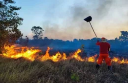 Amapá ultrapassa mil focos de incêndio e BR-156 está entre áreas mais críticas