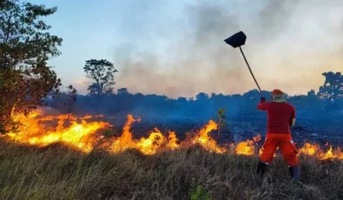 Amapá ultrapassa mil focos de incêndio e BR-156 está entre áreas mais críticas