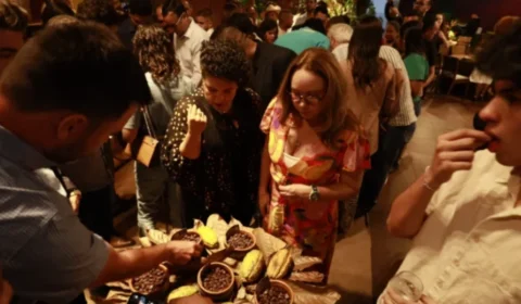 Rondônia e Pará dominam final de concurso nacional de cacau com 75% das vagas