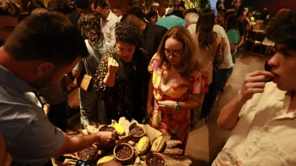 Rondônia e Pará dominam final de concurso nacional de cacau com 75% das vagas
