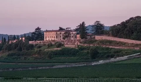 Ladrões roubam 30 mil garrafas de vinho avaliadas em 5 milhões de euros na Itália