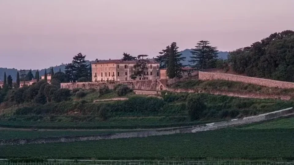 Ladrões roubam 30 mil garrafas de vinho avaliadas em 5 milhões de euros na Itália