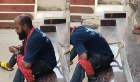 Homem morre após ser picado por cobra venenosa enquanto gravava vídeo na Índia