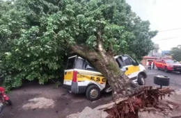 VÍDEO: Van escolar é atingida por uma árvore durante temporal em Uberlândia