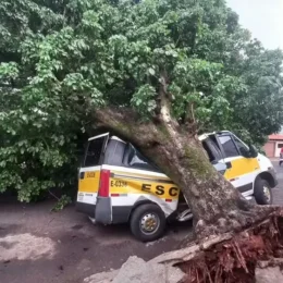 Van escolar é atingida por uma árvore durante temporal em Uberlândia