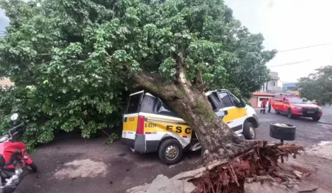 Van escolar é atingida por uma árvore durante temporal em Uberlândia