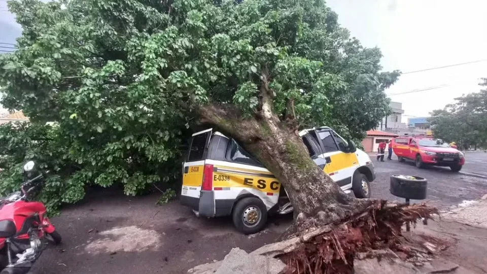 VÍDEO: Van escolar é atingida por uma árvore durante temporal em Uberlândia