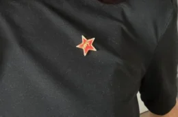 Eurodeputado polonês pede informações sobre brasileiras após foto com broche do PT