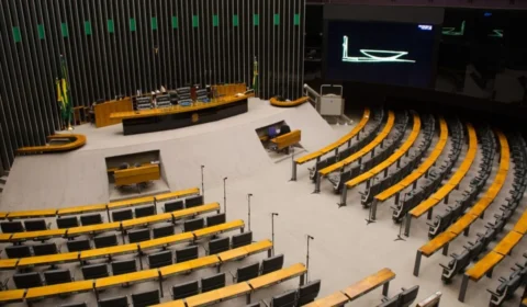 Pretos e pardos nas eleições 2026: veja como ficou a representação política