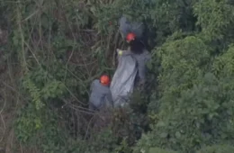 São Paulo e Grande SP têm 19 corpos encontrados desde setembro