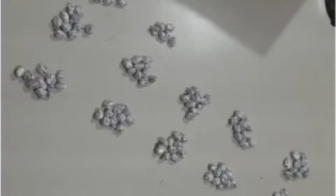 Criança é encontrada com 116 pedras de crack na mochila dentro de escola em PE