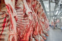 EUA, Chile e Rússia compensam queda das exportações de carne bovina para a China