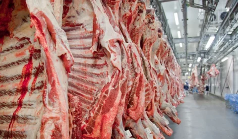EUA, Chile e Rússia compensam queda das exportações de carne bovina para a China