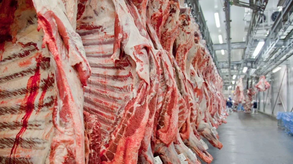 EUA, Chile e Rússia compensam queda das exportações de carne bovina para a China