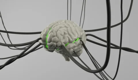 Cientistas identificam alvo no cérebro que pode ajudar a conter inflamação no Alzheimer