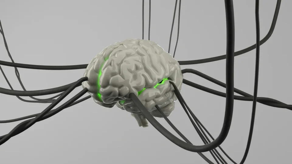 Cientistas identificam alvo no cérebro que pode ajudar a conter inflamação no Alzheimer