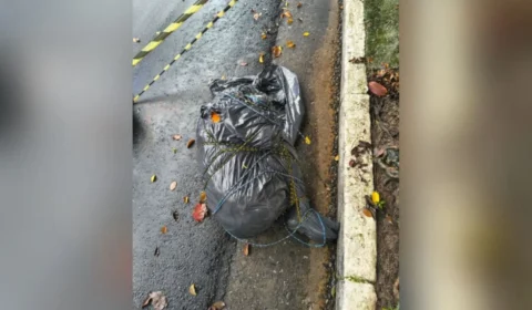 Corpos em sacos e com sinais de tortura intrigam polícia em SP; ‘tribunal do crime’ é investigado