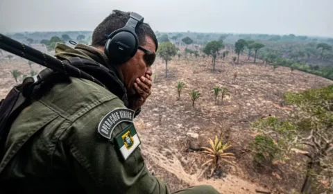 Queimadas avançam no Amazonas e Ibama notifica 725 propriedades rurais