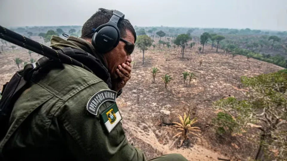 Queimadas avançam no Amazonas e Ibama notifica 725 propriedades rurais