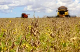 Dez desafios do agronegócio que o próximo presidente terá de enfrentar em 2027