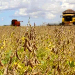 Dez desafios do agronegócio que o próximo presidente terá de enfrentar em 2027