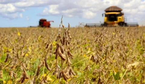 Dez desafios do agronegócio que o próximo presidente terá de enfrentar em 2027