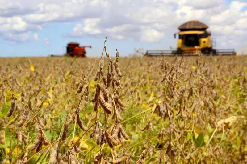 O movimento ocorre em um cenário de menor liquidez no setor agropecuário, com parte das empresas rurais concentrando esforços na manutenção das atividades já existentes.