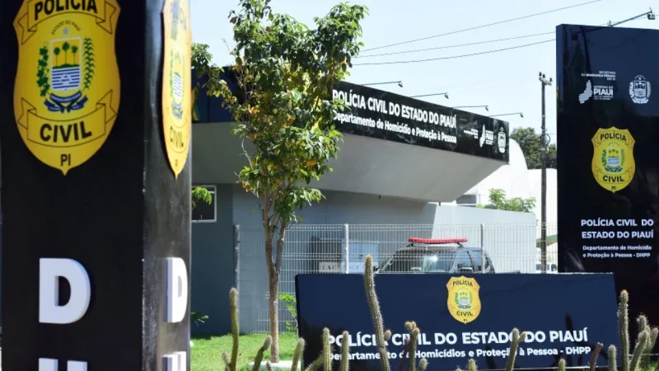 Dois adolescentes confessam participação em morte de menino esquartejado em Teresina