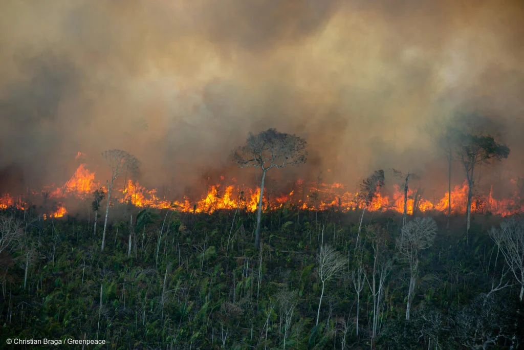 As autoridades ambientais também investigam suspeitas de incêndios provocados intencionalmente. A origem de cada ocorrência depende de apuração específica.