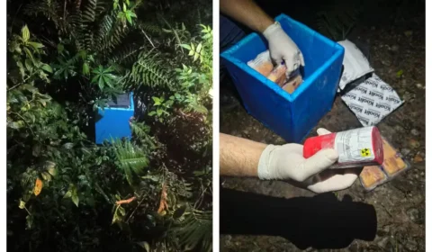 Material radioativo roubado de van é encontrado em terreno baldio em SP