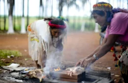 Indígenas denunciam ameaças e ataques após eleições em Mato Grosso do Sul