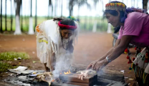 Indígenas denunciam ameaças e ataques após eleições em Mato Grosso do Sul