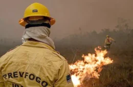 Incêndios no Amazonas exigem 13 aeronaves e mais de 390 horas de combate aéreo