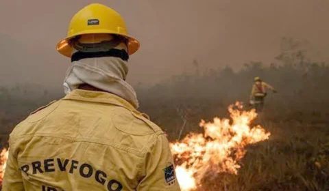 Incêndios no Amazonas exigem 13 aeronaves e mais de 390 horas de combate aéreo