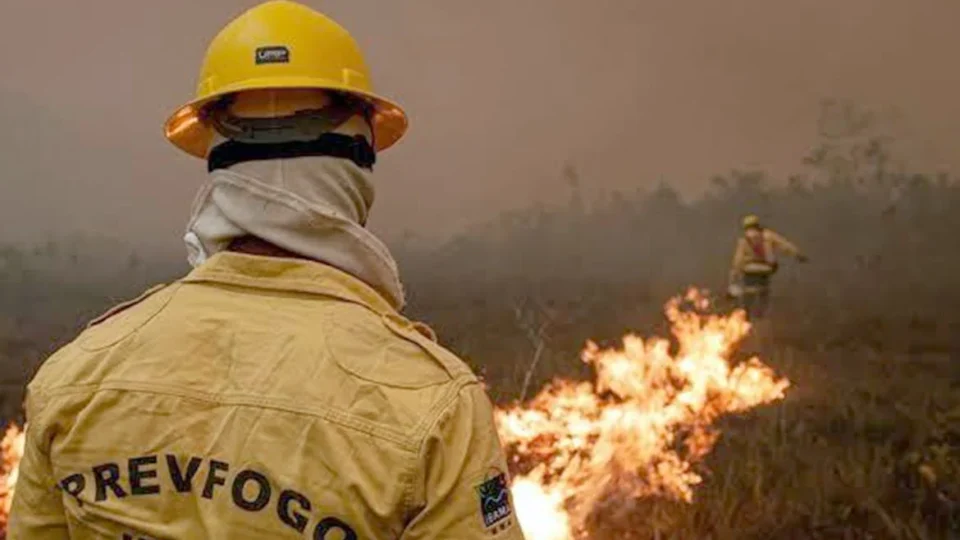 Incêndios no Amazonas exigem 13 aeronaves e mais de 390 horas de combate aéreo