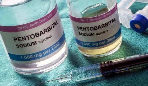 Pentobarbital: como funciona a droga usada em execução que mulher sobreviveu nos EUA