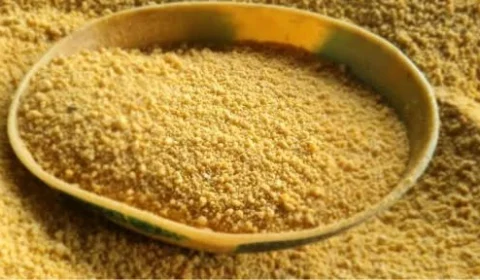 Farinha de Bragança ganha destaque à mesa e reforça tradição no almoço do Círio