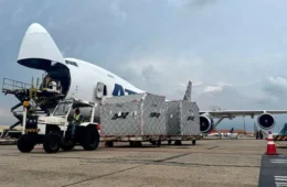 Aeroporto de Viracopos recebe 800 toneladas de cargas da Fórmula 1 em operação com nove voos