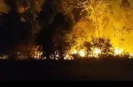 Incêndio atinge área de mata no Sucuriju, em Maués, e mobiliza Bombeiros e Defesa Civil