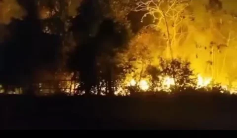 Incêndio atinge área de mata no Sucuriju, em Maués, e mobiliza Bombeiros e Defesa Civil