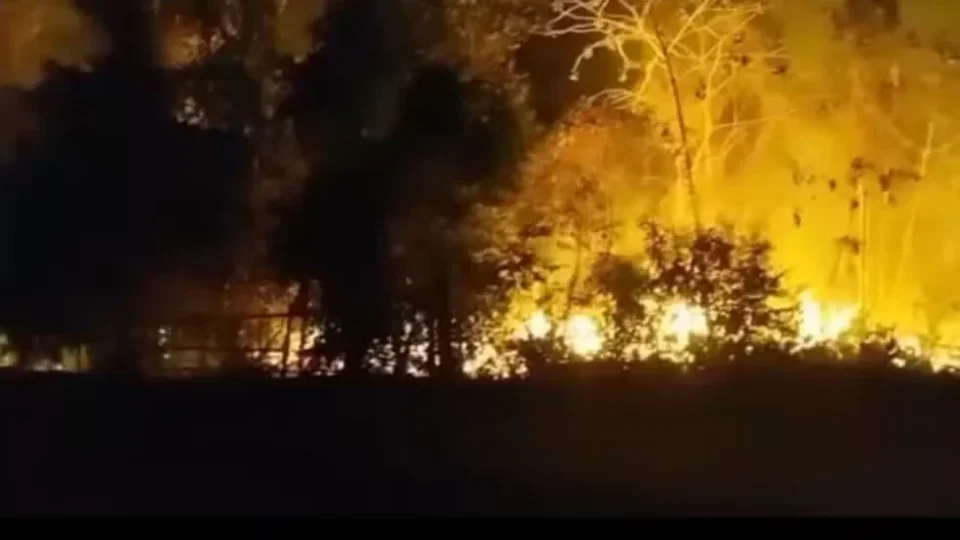 Incêndio atinge área de mata no Sucuriju, em Maués, e mobiliza Bombeiros e Defesa Civil